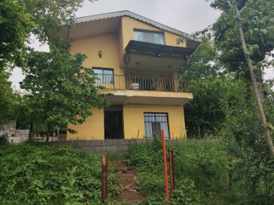 خانه ای در آفتاب و مه و آواز پرندگان