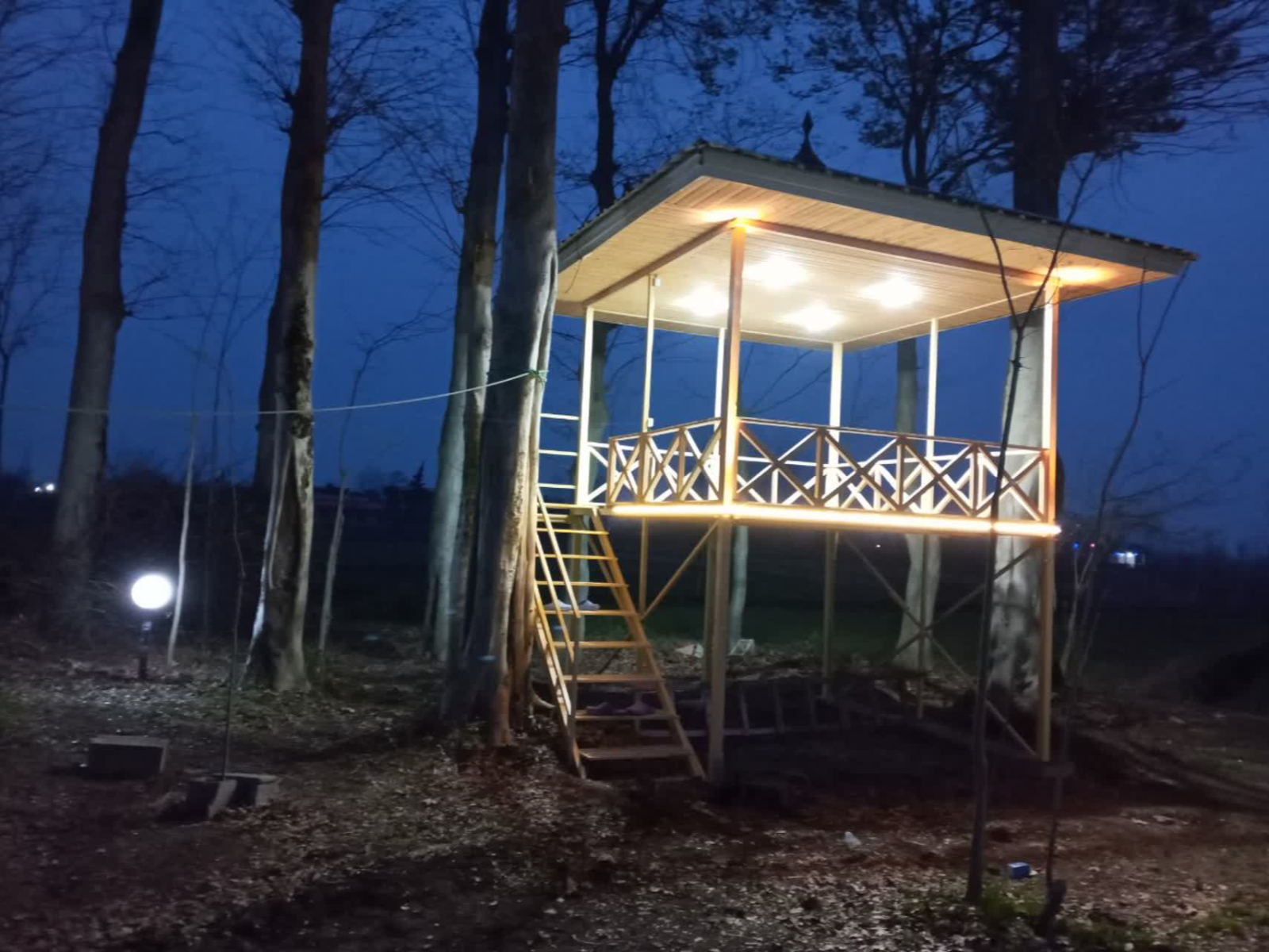 الاچیق درختی الاچیق درختی