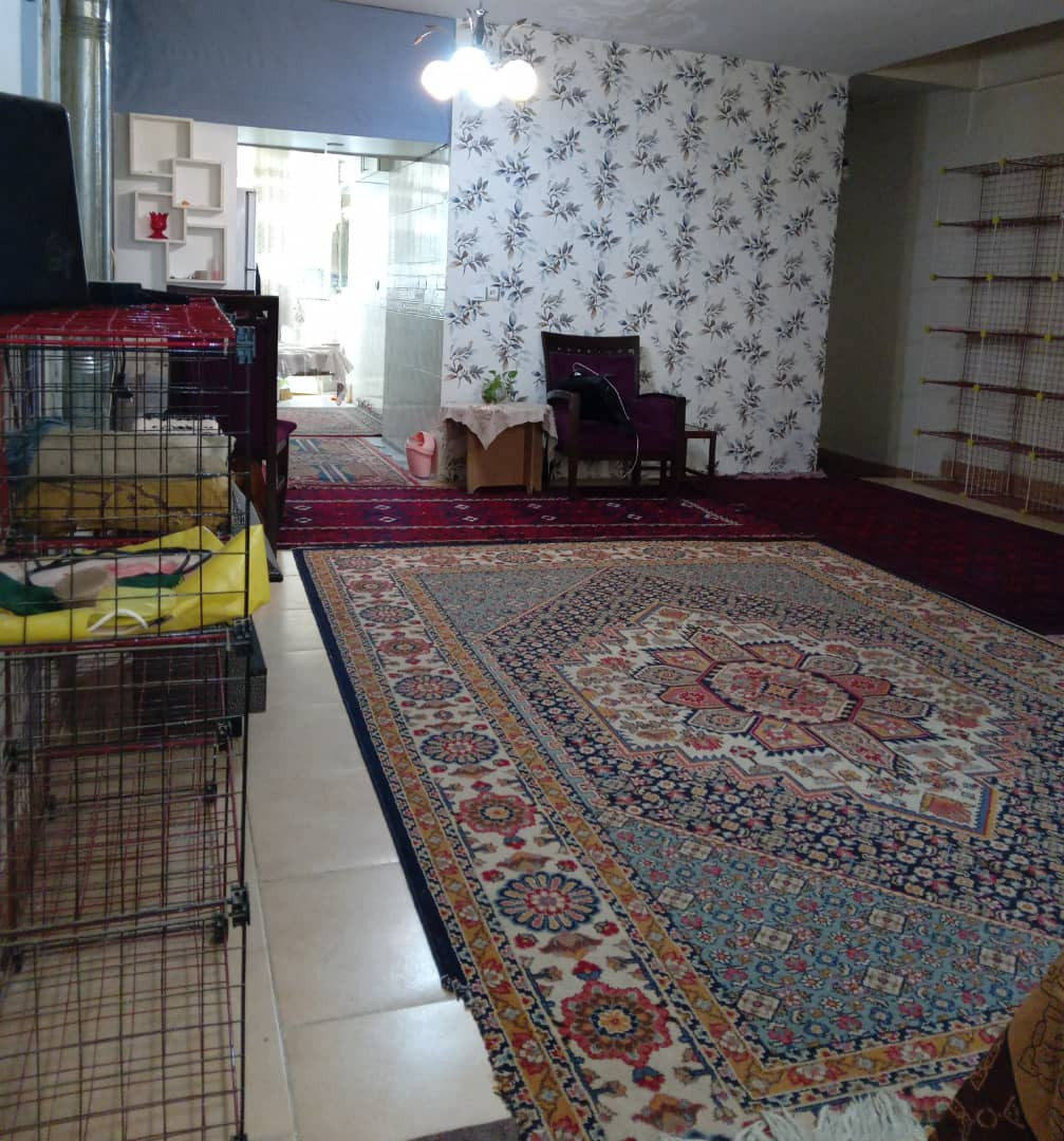 اتاق پذیرایی اتاق پذیرایی