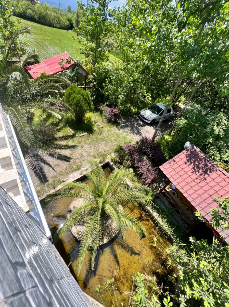 چشم انداز حیاط چشم انداز حیاط