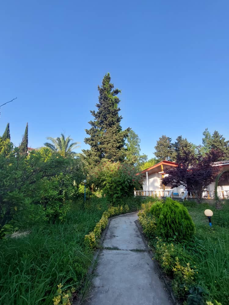 نمای ساختمان