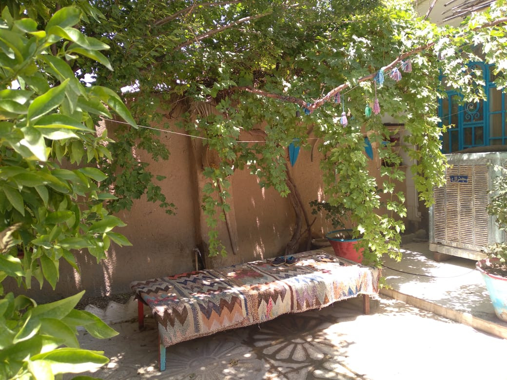 حیاط