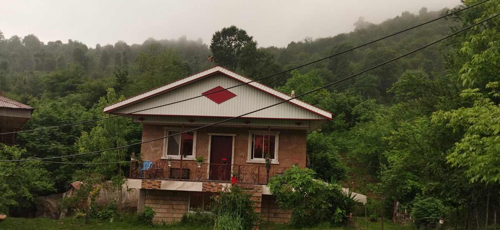 تو دل جنگل تو دل جنگل