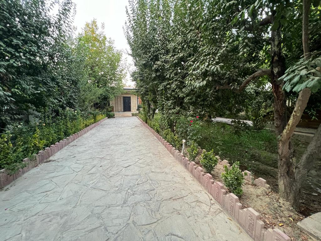 حیاط