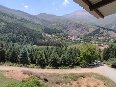 واحد اقامتی تک خوابه رز