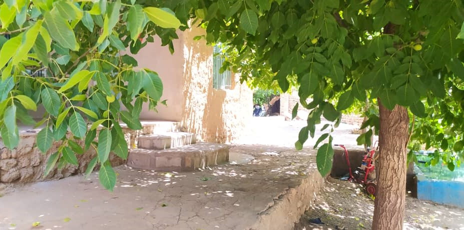 حیاط