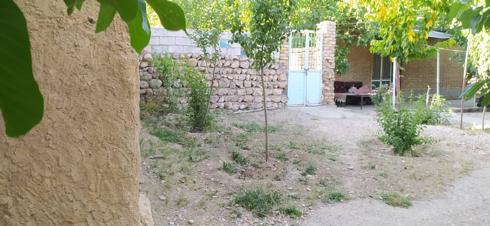 حیاط