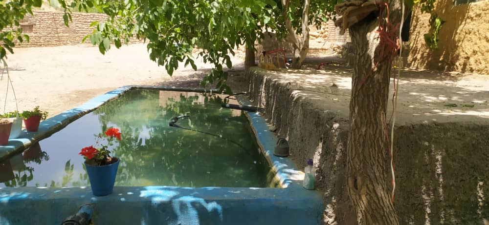 حیاط