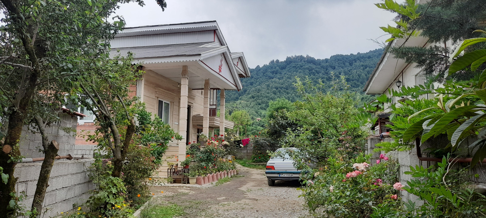 نمای ساختمان نمای ساختمان