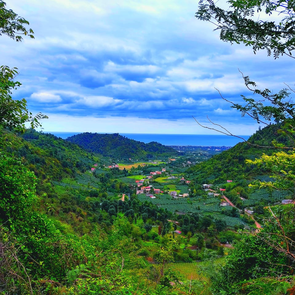 چشم انداز چشم انداز