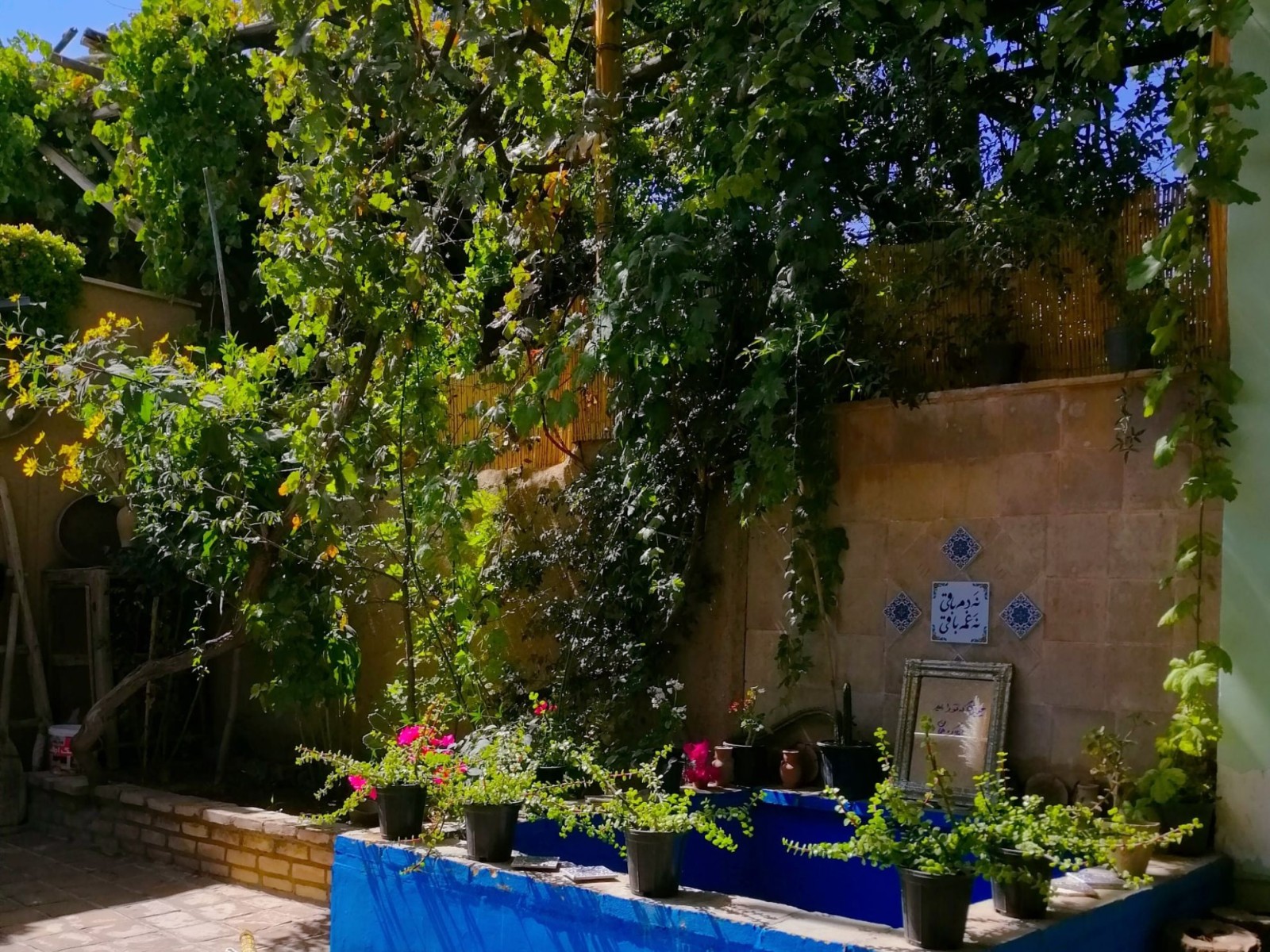 اتاق
