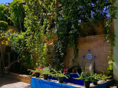 خانهٔ طَرب