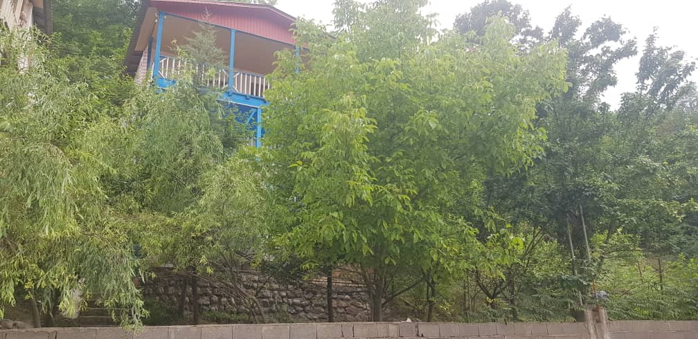 نمای ساختمان
