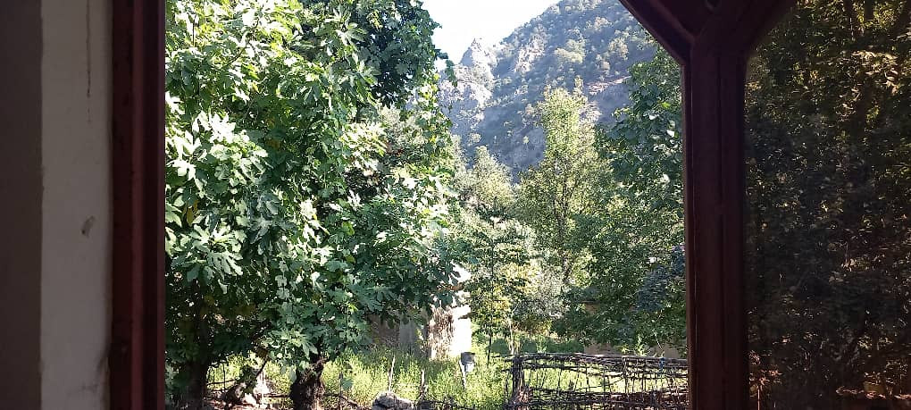 چشم انداز چشم انداز