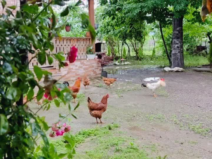 نمای بیرونی ساختمان