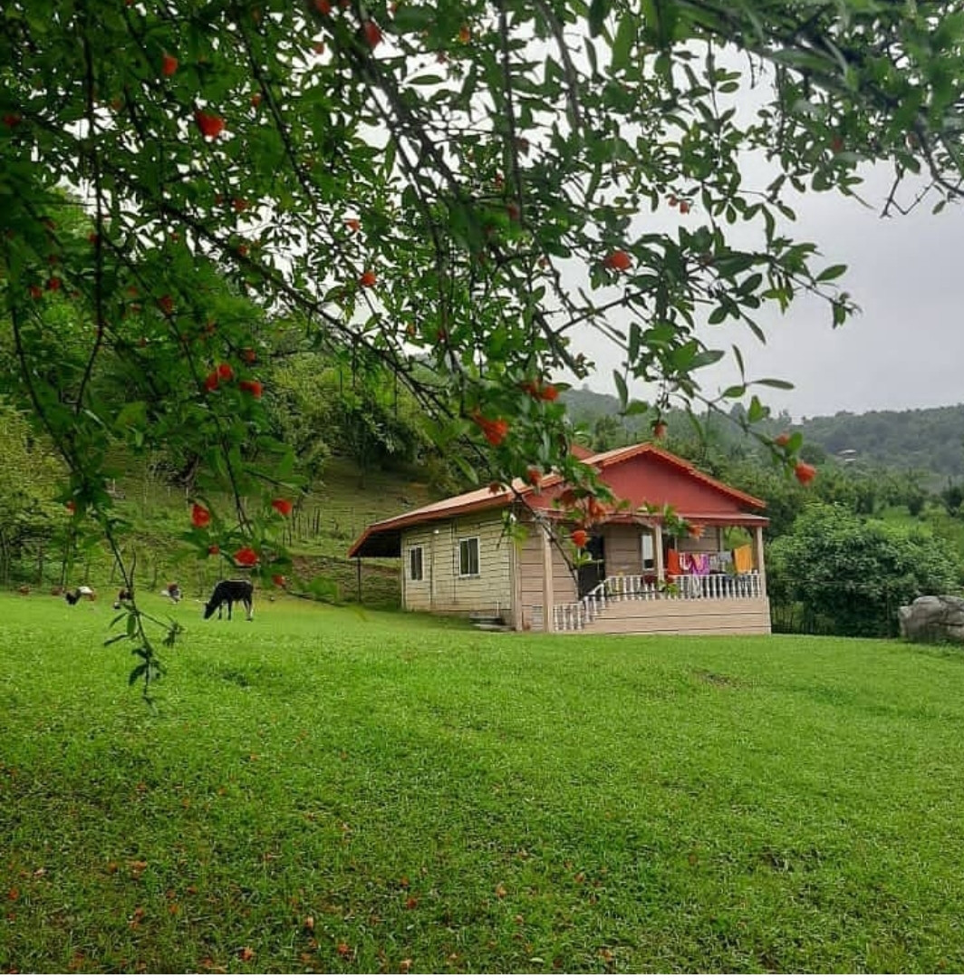 نمای کلی نمای کلی