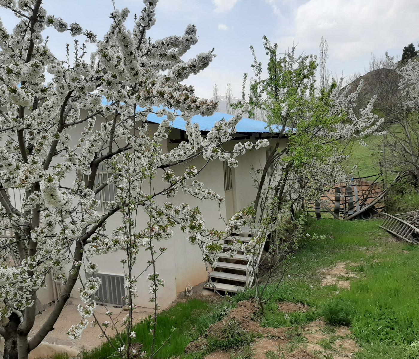 نمای ساختمان