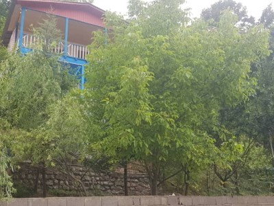 ویلایی دلباز در دل کوه‌های جنگلی، واحد 2