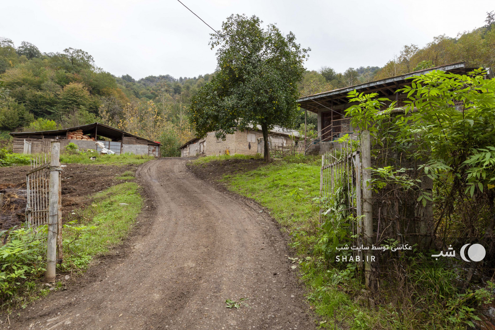 محوطه اقامتگاه