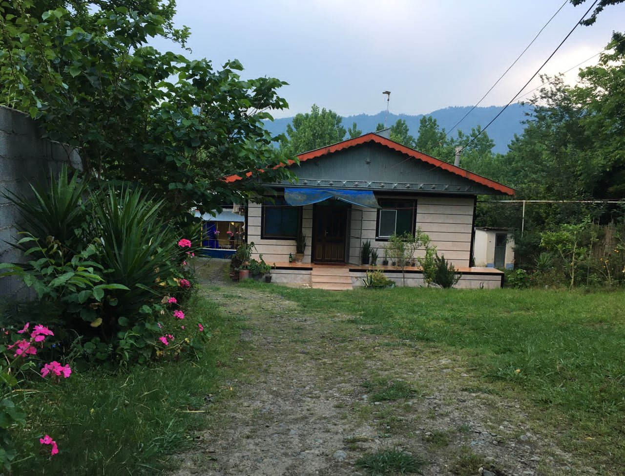 نمای ساختمان نمای ساختمان