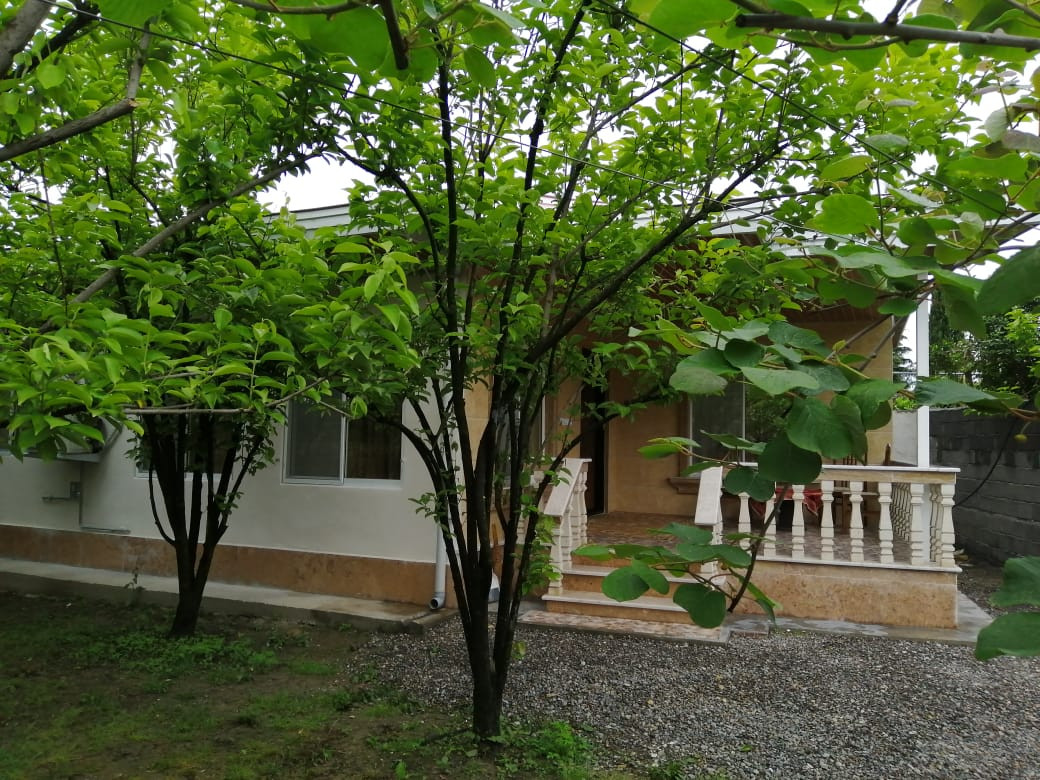 نمای ساختمان