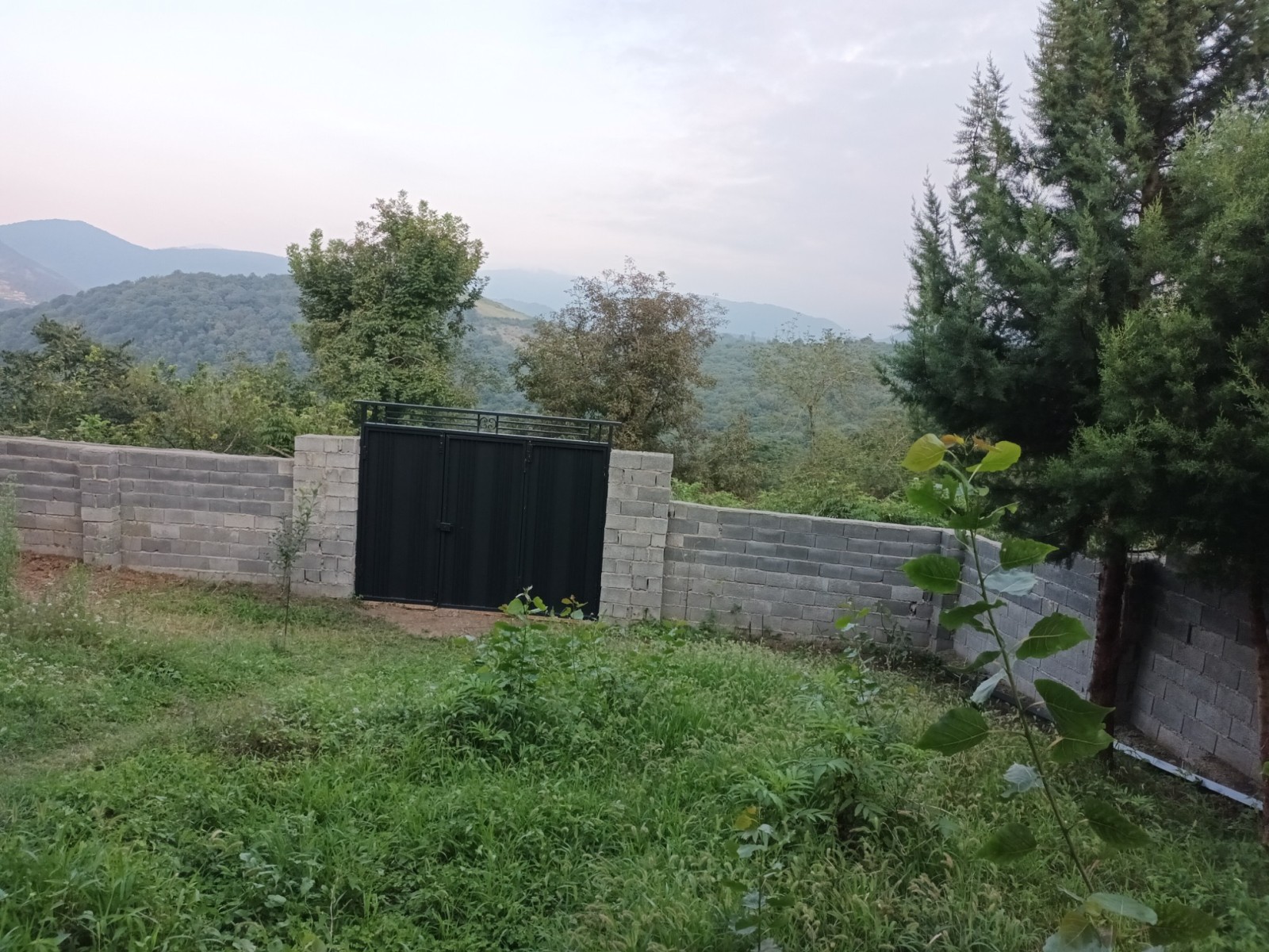 حیاط و ورودی شماره2 حیاط و ورودی شماره2