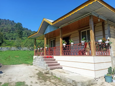 واحد مبله تک خواب جنگلی