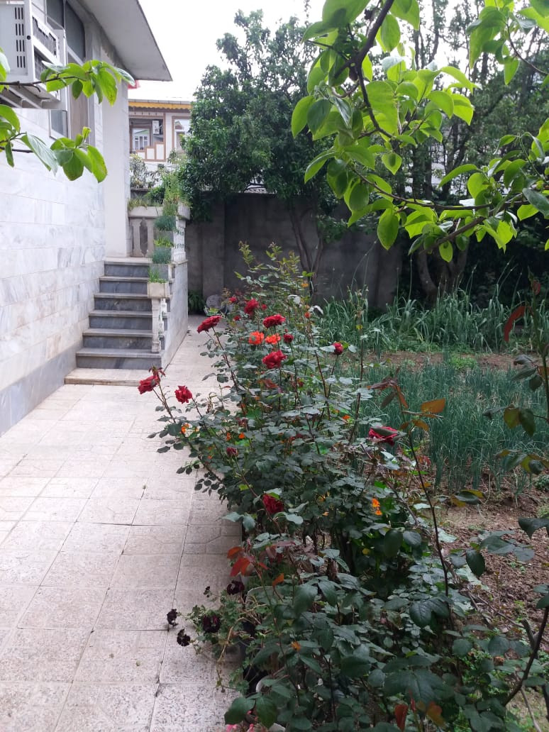 نمای حیاط و ورودی