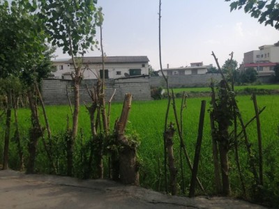 ویلای حیاط دار در بافت روستایی مناسب خانواده