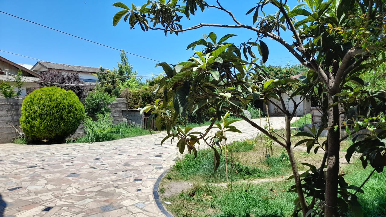 حیاط