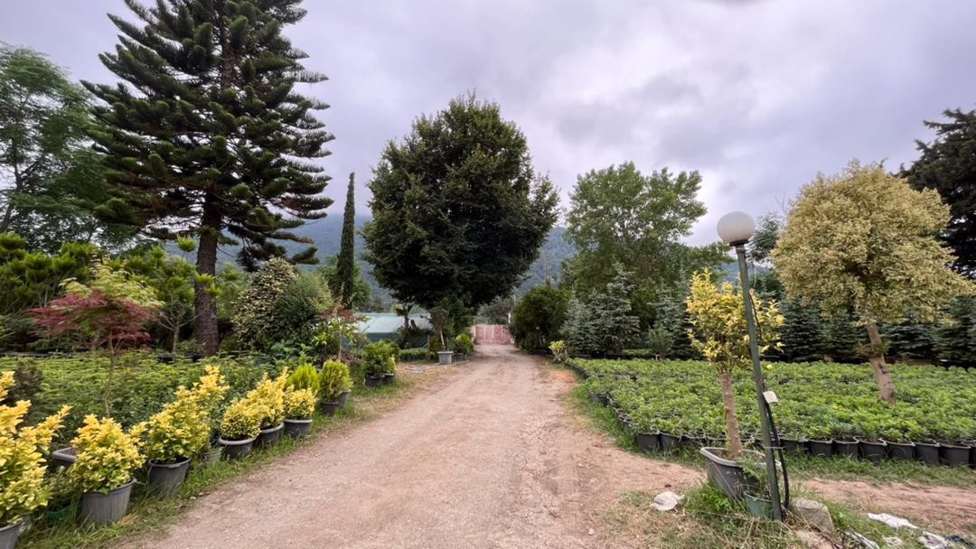 نمای بیرون