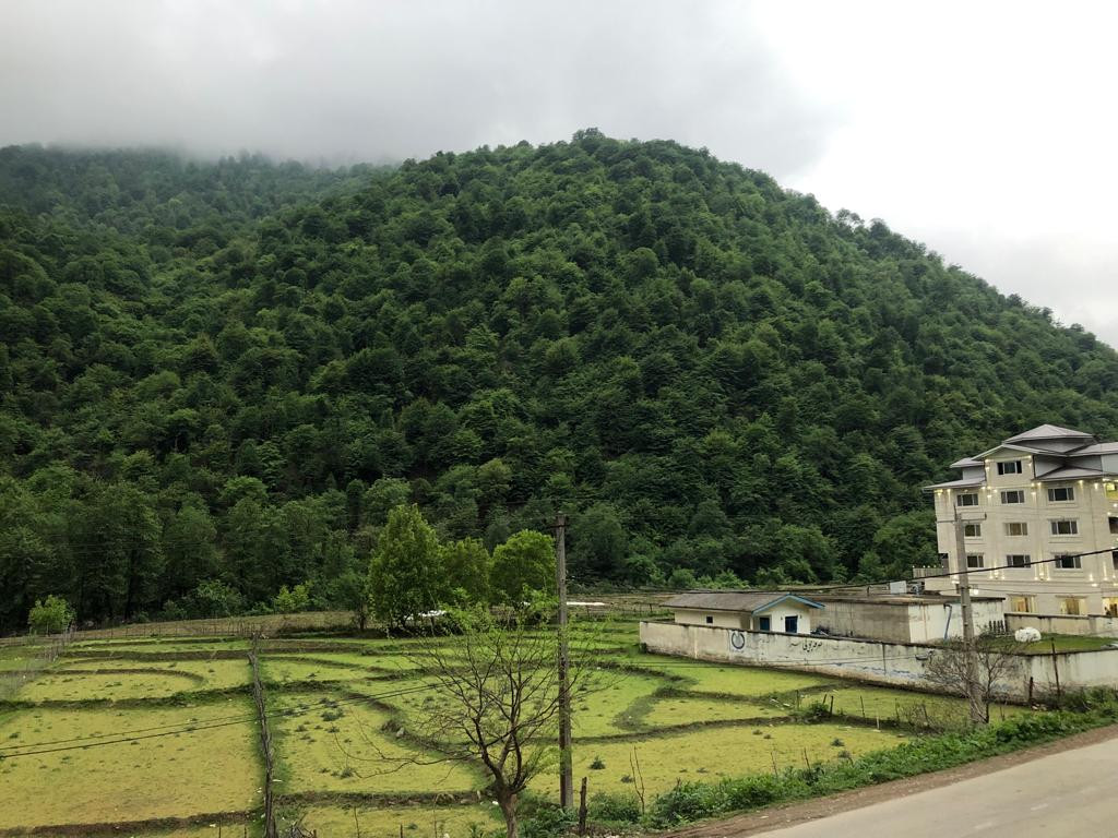نمای پذیرایی نمای پذیرایی