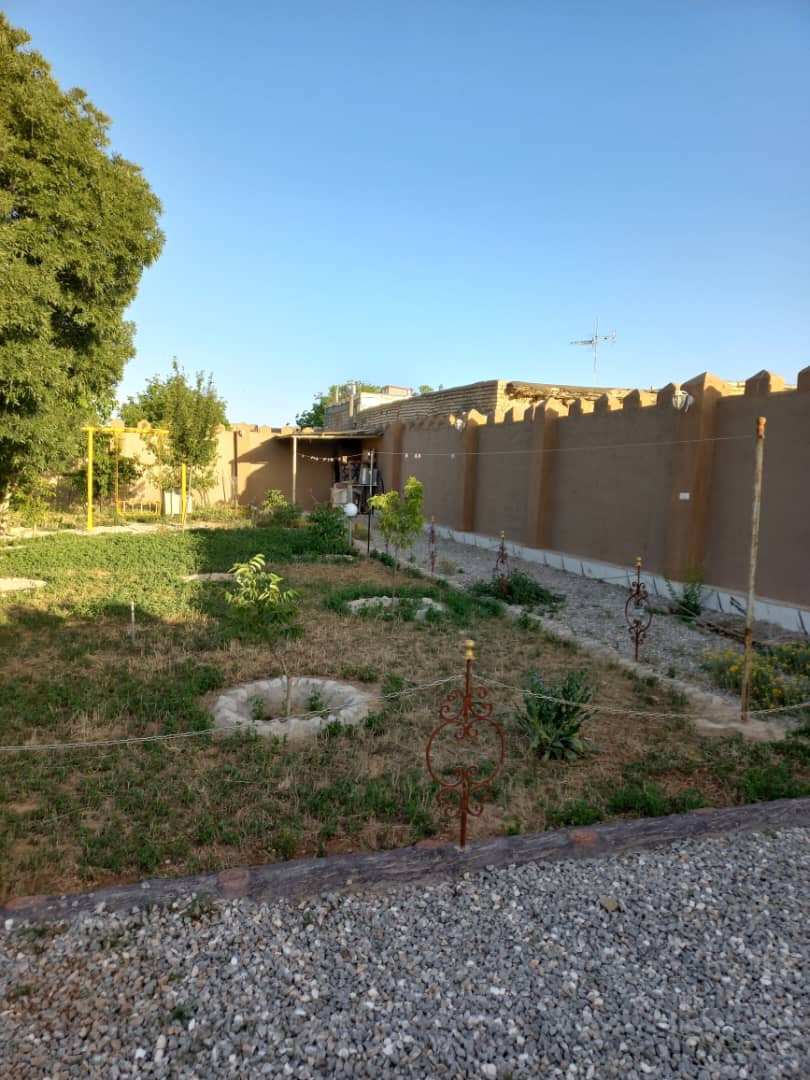 حیاط