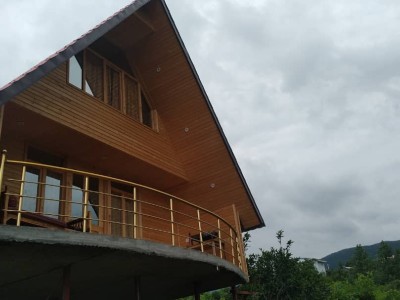 کلبه نقلی در دل باغ مرکبات و زمین چای