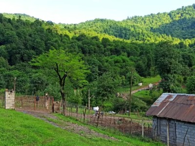 ویلا جنگلی دو خواب رزین‌ده