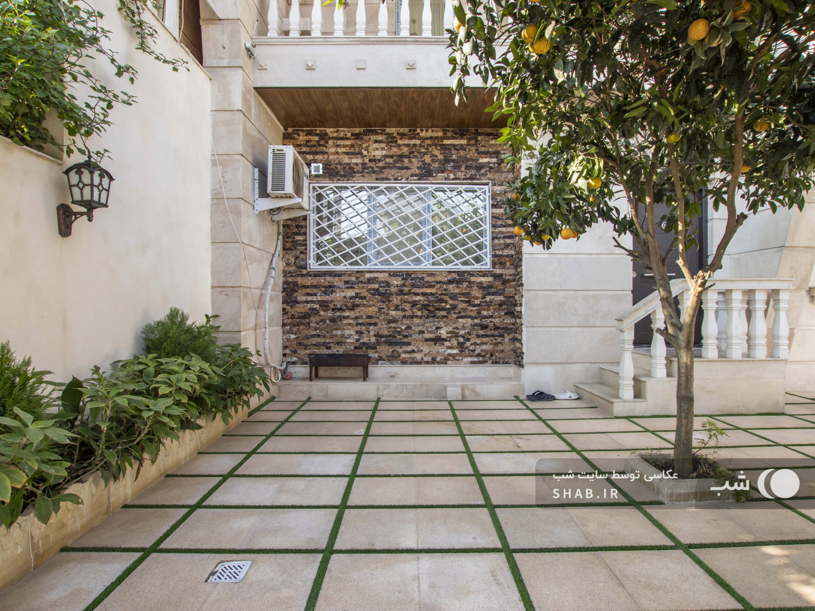 حیاط