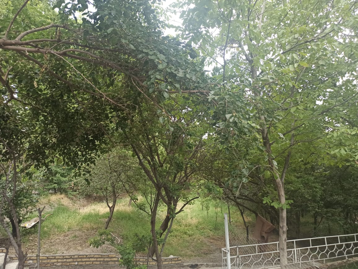 باغ