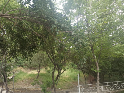 ویلا استخردار دو خوابه با دسترسی عالی