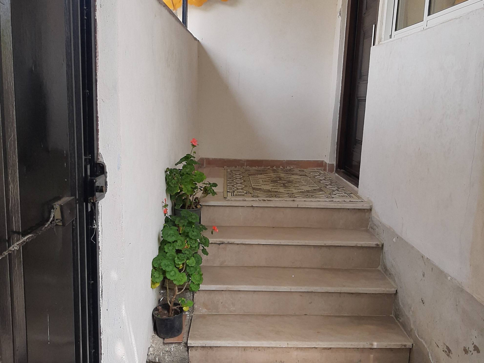 راهرو راهرو