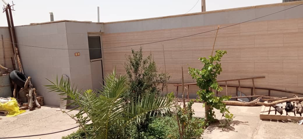 باغچه و سرویس بهداشتی  حیاط