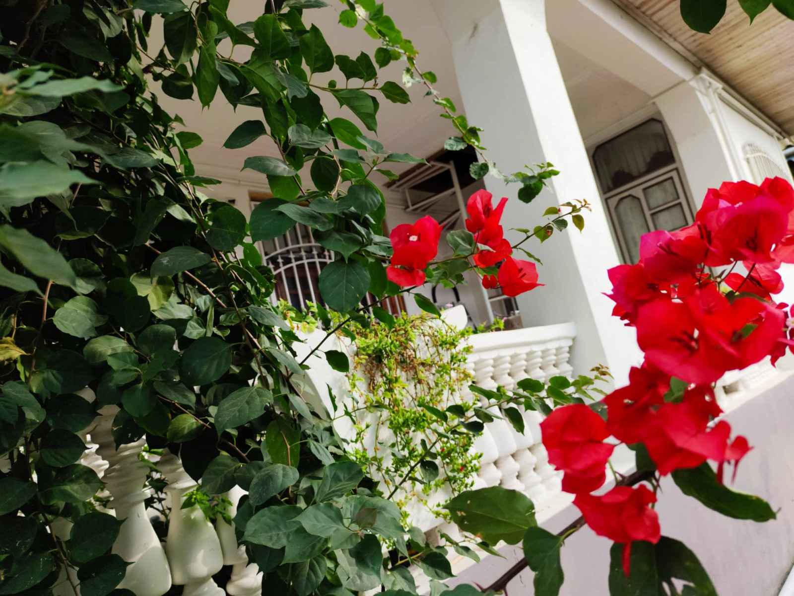 نمای بیرونی ساختمان
