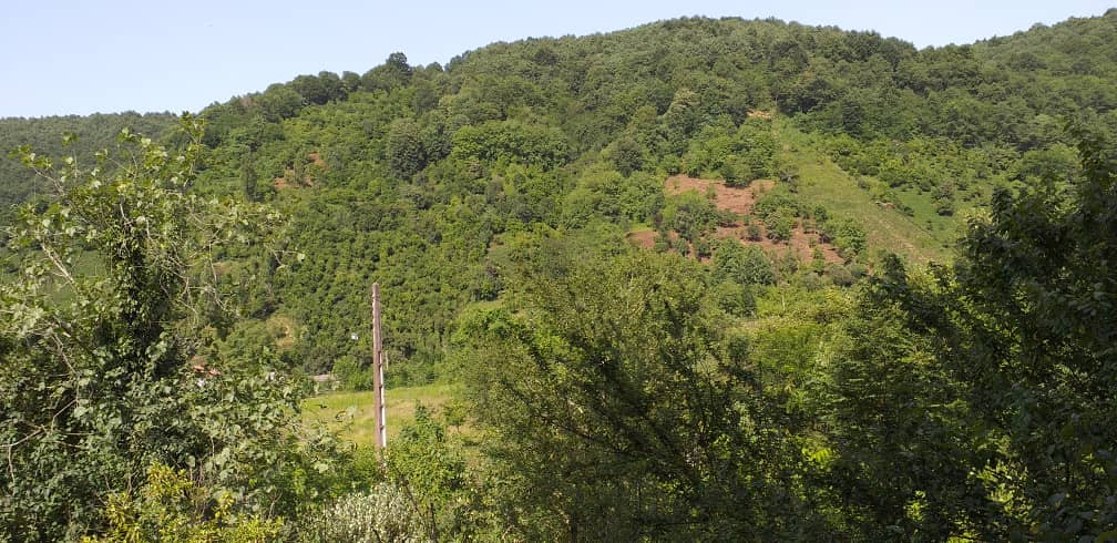 چشمانداز اقامتگاه چشمانداز اقامتگاه