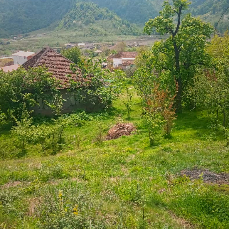 نمای اقامتگاه نمای اقامتگاه