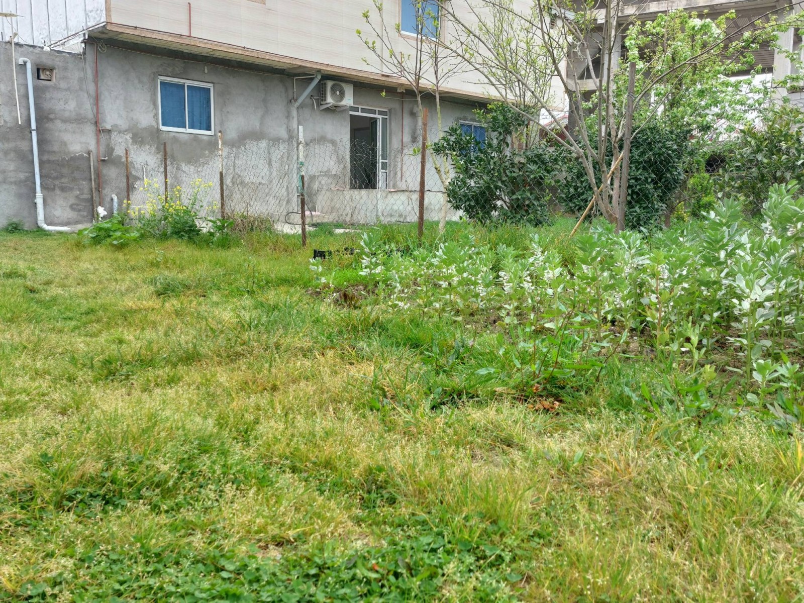 نمای بیرونی ساختمان