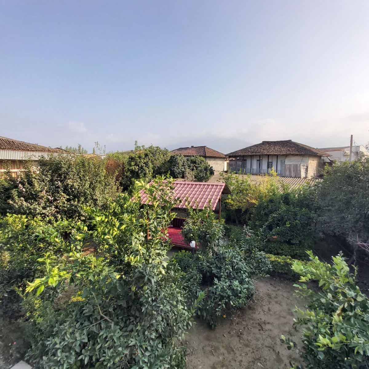 نمای روبه جنگل