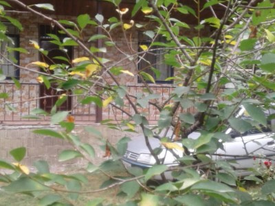 ویلا دوخوابه جنگلی در قلعه رودخان