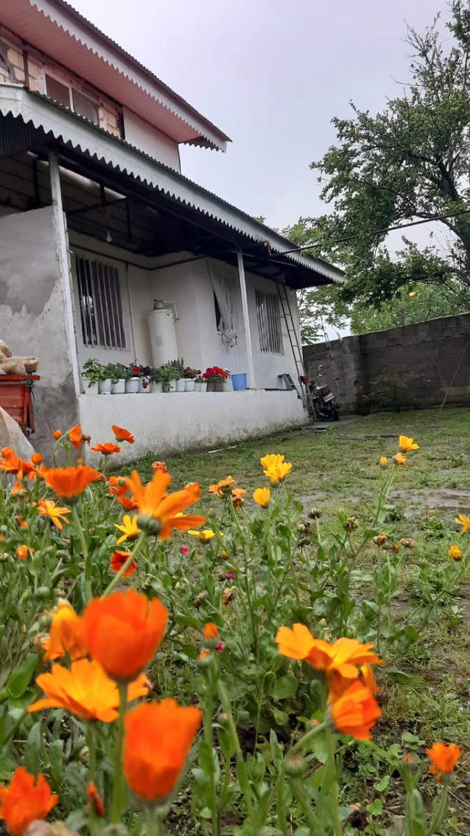 نمای ساختمان نمای ساختمان