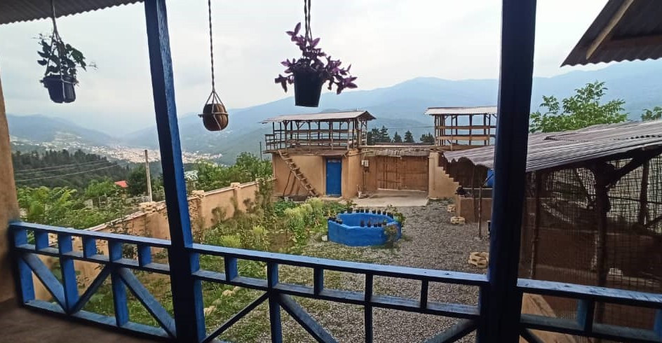 ویو تراس ویو تراس