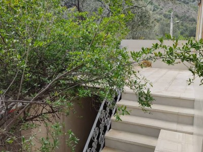 ویلای یک خوابه حمیدرضا