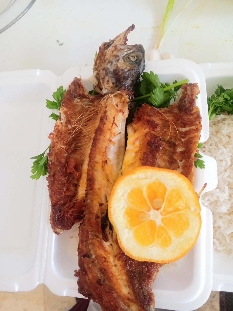 ماهی غزل ما